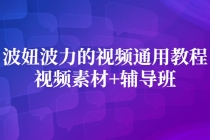 波妞波力的视频通用教程+视频素材+辅导班-副业网