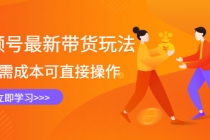 视频号最新带货玩法，无需成本可直接操作，新手到高手快速蜕变-副业网