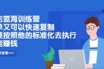抖店蓝海训练营：简单又可以快速复制，只要按照他的标准化去执行就能赚钱-副业网