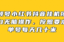 视频号小红书抖音挂机项目，小白无脑操作，按照要求来，单号每天几十米-副业网