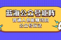 蓝海公众号矩阵：普通人也能赚钱的公众号玩法，月入过N万-副业网