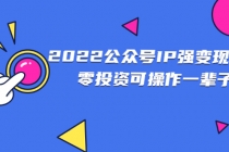 2022公众号IP强变现项目，零投资可操作一辈子-副业网