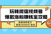 玩转微信视频号爆款涨粉赚钱全攻略，快速涨粉百万 变现10000万 秘诀-副业网