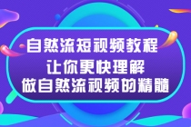 自然流短视频教程，让你更快理解做自然流视频的精髓-副业网
