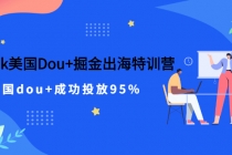TikTok美国Dou+掘金出海特训营,美国dou+成功投放95%-副业网