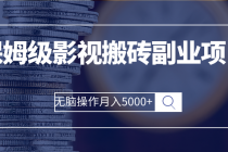 保姆级影视搬砖副业项目 无脑操作月入5000+-副业网