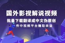 国外影视解说视频，批量下载翻译成中文伪原创，传中视频平台赚取收益-副业网