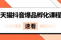 《天猫抖音爆品孵化课程》独家绝密新品引爆法-副业网