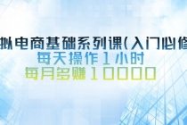 虚拟电商基础系列课，每天操作1小时，每月多赚10000-副业网