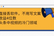直接丢软件，不用写文案，收益4位数头条中视频的冷门领域-副业网