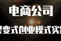 《电商公司裂变式创业模式实践》开拓更多项目 赚更多的钱-副业网