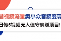 借视频流量，卖小众音频变现，日传5视频无人值守躺赚项目！-副业网