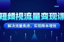 短频视流量变现课：解决流量焦虑，实现降本增效-副业网
