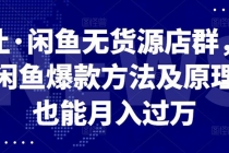 闲鱼无货源店群，掌握闲鱼爆款方法快速出单，轻松月入10000+-副业网