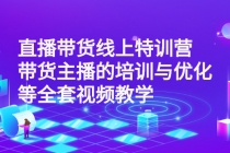 直播带货线上特训营：带货主播的培训与优化等全套视频教学-副业网