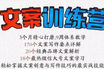 《文案训练营》全面系统解决文案写作难题-副业网