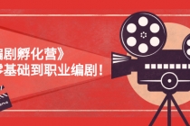 《编剧孵化营》从零基础到职业编剧！-副业网