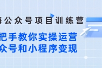 蓝海公众号项目训练营，手把手教你实操运营公众号和小程序变现-副业网