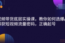 短视频带货底层实操课，教你如何选爆品、了解获短视频流量密码，正确起号-副业网