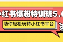 小红书爆粉特训班5.0，助你轻松玩转小红书平台价值1380元-副业网