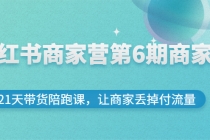 小红书商家营第6期商家版，21天带货陪跑课，让商家丢掉付流量-副业网