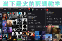 短时视频朦胧诗文案号制作教程，实操7天涨粉20W+小白20分钟看完直接上手-副业网