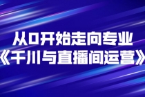 从0开始走向专业《千川与直播间运营》93节视频课程-副业网