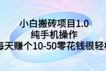 小白搬砖项目1.0，纯手机操作，每天赚个10-50零花钱很轻松-副业网