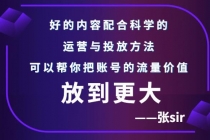 张sir账号流量增长课，告别海王流量，让你的流量更精准-副业网