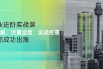 TikTok进阶实战课：账号详解，流量运营，实战变现，助力你成功出海-副业网