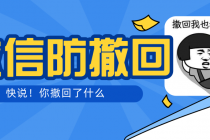 智微VX多开防撤回助手 一键免扫码登录-副业网