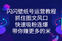 闪闪壁纸号运营教程，抓住图文风口，快速吸粉连爆，带你赚更多的米-副业网