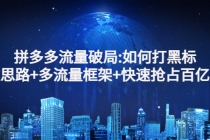 拼多多流量破局:如何打黑标，爆款思路+多流量框架+快速抢占百亿流量-副业网