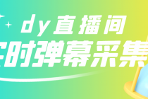 最新版抖音直播间实时弹幕采集【电脑永久版脚本+详细操作教程】-副业网