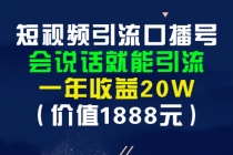 短视频引流口播号，会说话就能引流，一年收益20W-副业网