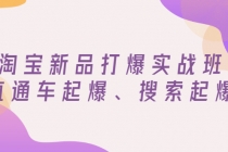 淘宝新品打爆实战班，直通车起爆、搜索起爆-副业网