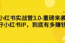 小红书实战营3.0-重磅来袭：做好小红书IP，到底有多赚钱？-副业网