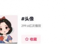 从0到1玩赚抖音头像号:快速躺赚-实现睡后收!附:大佬起号干货!-副业网