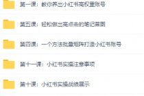 小红书运营引流+微信营销策划引流，每天轻松引200+精准粉-副业网