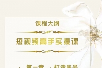 短视频高手实操课：从入门到精通，账号+运营+直播，应有尽有！-副业网
