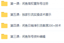 闲鱼+豆瓣：精准引流全系列课程，每天引流200+精准粉-副业网