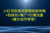 小红书穿透式营销收割攻略+防踩坑+推广+引爆流量+爆文创作等等！-副业网