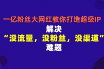 一亿粉丝大网红教你打造超级IP：解决“没流量，没粉丝，没渠道”难题-副业网