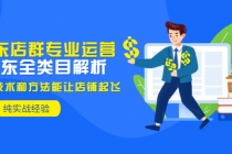 京东店群专业运营：京东全类目解析，最新技术和方法能让店铺起飞，纯实操-副业网