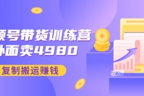 外面卖4980【盗坤：视频号带货训练营】复制搬运赚钱-副业网