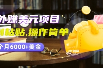 分享一个国外赚美元项目：复制粘贴一个月6000+美金，简单易操作-副业网
