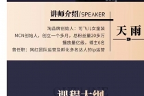 百万级抖+投手宝典：可复制的达人IP投放攻略-副业网