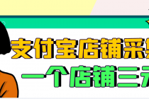【信息差项目】支付宝店铺采集项目，只需拍三张照片，轻松日赚300-500-副业网