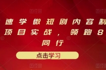 10堂速学微短剧内容制作标准与项目实战，领跑80%同行-副业网
