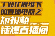 工业化思维下的直播电商之短视频锤爆直播间，听话照做执行爆单-副业网
